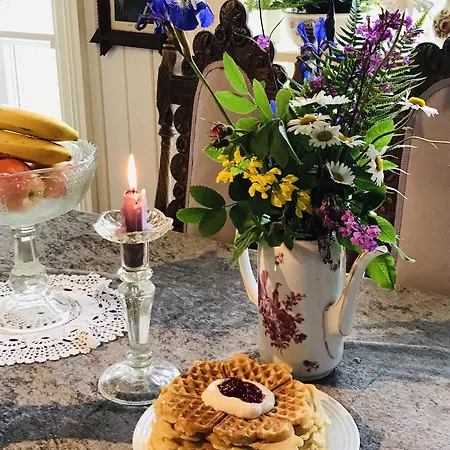 Villa Solvorn B&B 솔보른